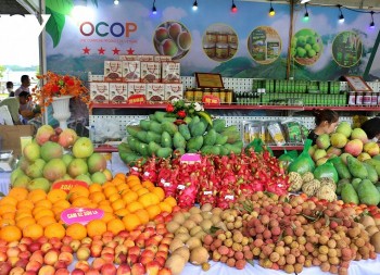 Sơn La chuẩn hóa vùng nguyên liệu, nâng tầm nông sản xuất khẩu