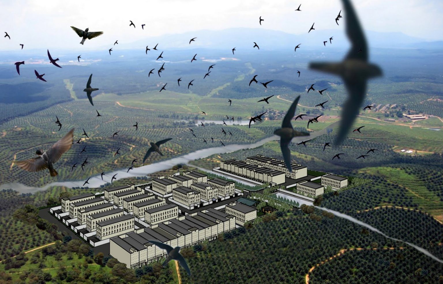 Bảo tồn gen và thương hiệu quốc gia: Hai trụ cột cho ngành yến bền vững Bảo tồn gen và thương hiệu quốc gia: Hai trụ cột cho ngành yến bền vững