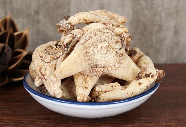 Bạch cập – Vị thuốc quý từ lan địa sinh giúp cầm máu và làm lành vết thương