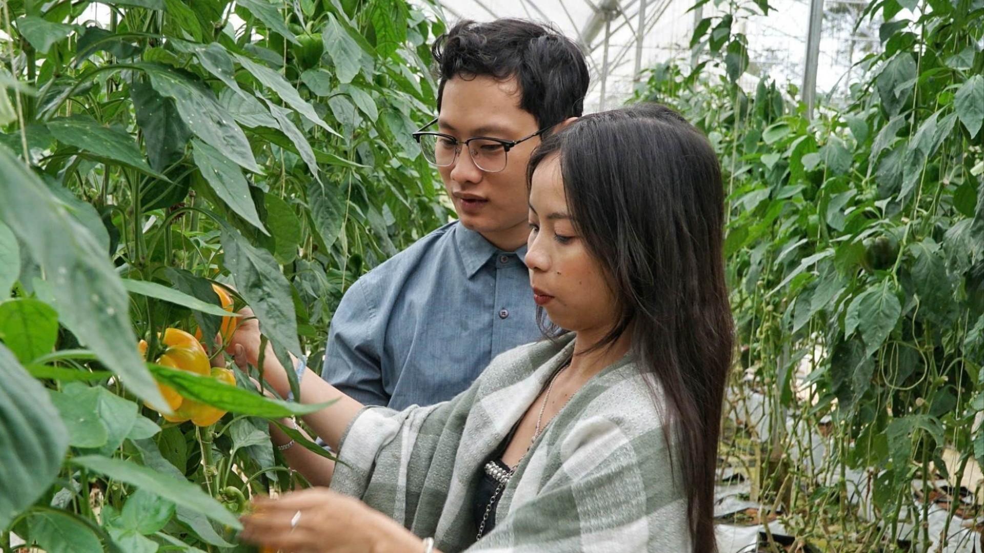 Xây dựng các vùng nông nghiệp hiện đại từ công nghệ cao