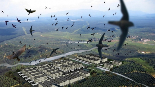 Bảo tồn gen và thương hiệu quốc gia: Hai trụ cột cho ngành yến bền vững