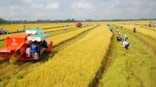 Sửa một số quy định về tiền sử dụng đất