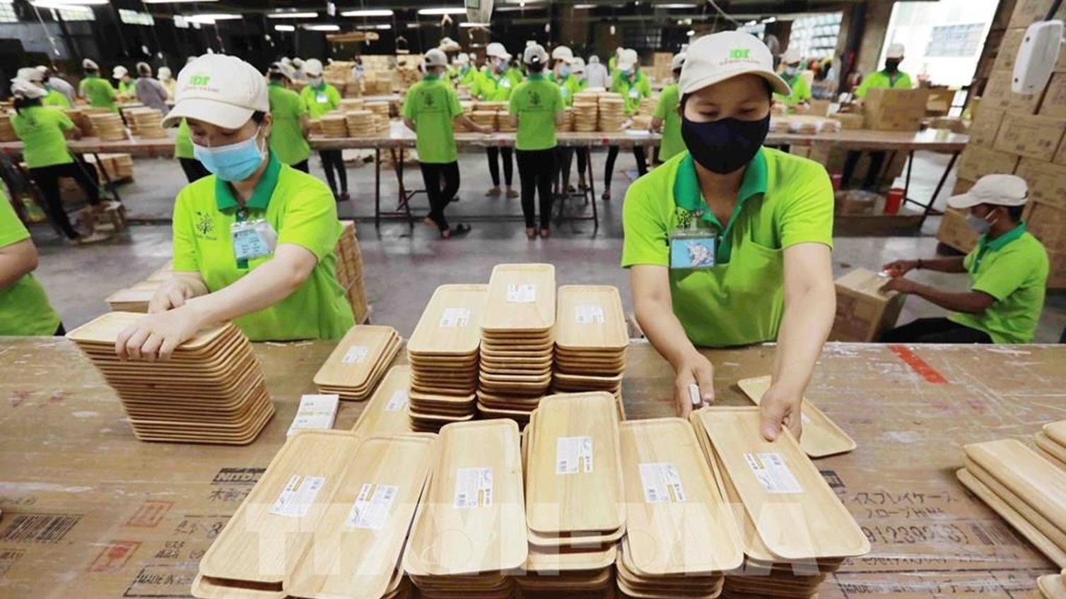 Quy định bảo vệ rừng EU sắp áp dụng: Việt Nam đã sẵn sàng?