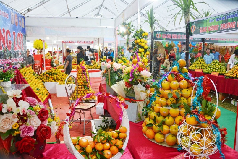 Cam Cao Phong khởi động vụ mới: Hứa hẹn mùa vàng “quả ngọt” bội thu Cam Cao Phong khởi động vụ mới: Hứa hẹn mùa vàng “quả ngọt” bội thu