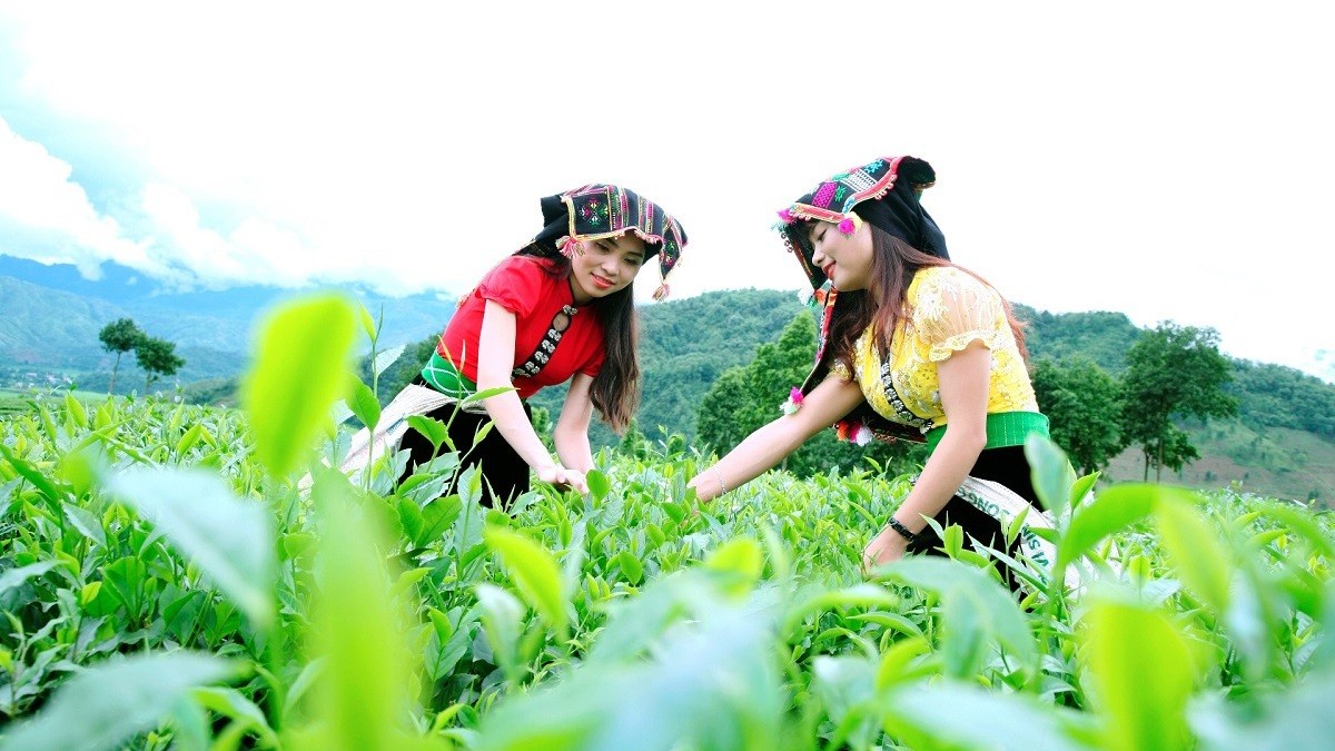 Sắp diễn ra Ngày hội sản phẩm vùng đồng bào dân tộc thiểu số và miền núi phía bắc