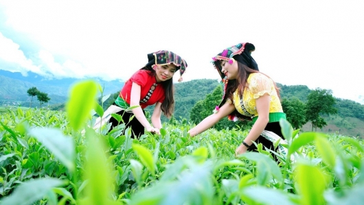 Sắp diễn ra Ngày hội sản phẩm vùng đồng bào dân tộc thiểu số và miền núi phía bắc