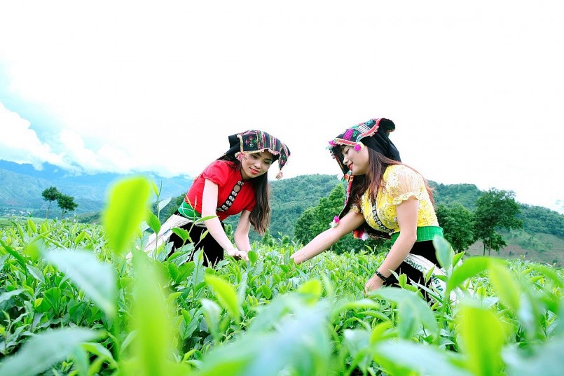 Tôn vinh giá trị nông sản vùng cao, quảng bá sản phẩm đặc trưng, đồng thời thúc đẩy kết nối giao thương, mở rộng thị trường tiêu thụ bền vững cho khu vực miền núi phía bắc