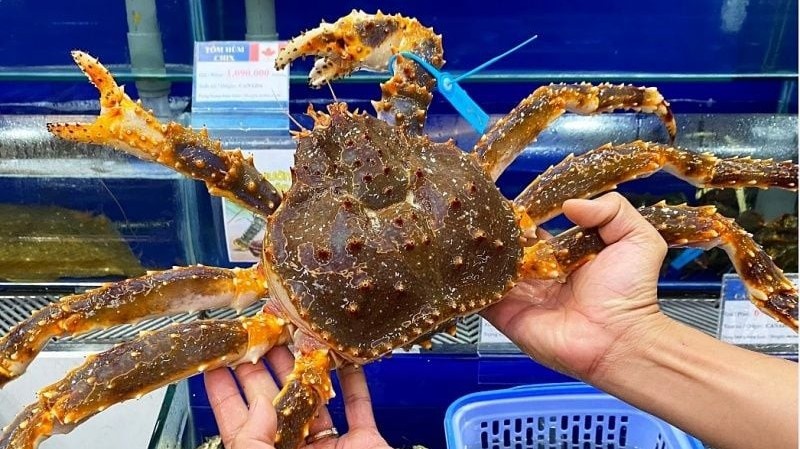 Cá hồi, cua hoàng đế và câu chuyện định vị hải sản cao cấp tại Việt Nam