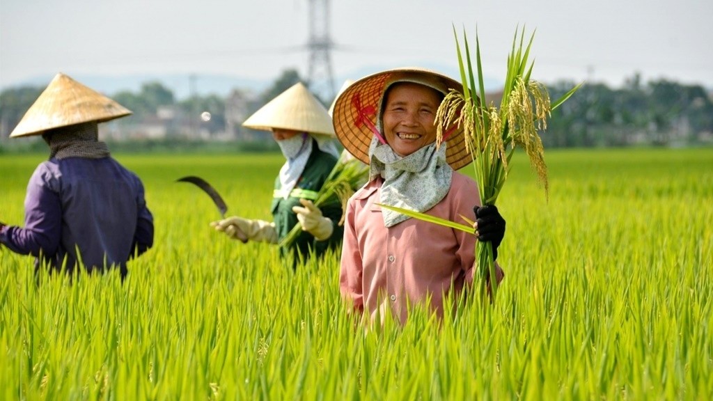 Nông nghiệp – trụ đỡ vững chắc của nền kinh tế Việt Nam