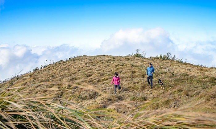 Lùng Cúng – Đỉnh núi thách thức giữa biển mây Tây Bắc