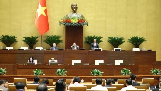 Chính phủ đề xuất rà soát, cắt giảm 25 ngành, nghề kinh doanh có điều kiện