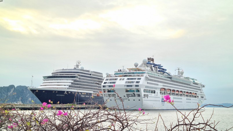 Cảng tàu khách quốc tế Hạ Long đón cùng lúc 2 tàu biển Westerdam và Star Voyager cập bến, mang theo hơn 3.100 du khách đến Quảng Ninh