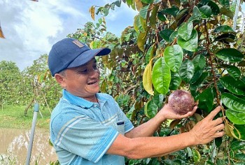 Kỹ sư Đồng Tháp biến đất khó thành vườn OCOP 4 sao