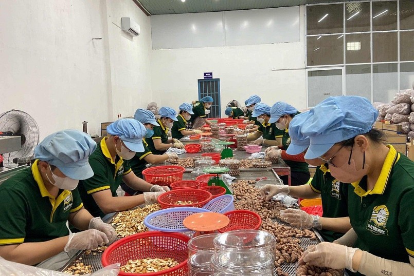 Xuất khẩu nông sản Việt Nam 2025: Thành tựu nổi bật và triển vọng lạc quan Xuất khẩu nông sản Việt Nam 2025: Thành tựu nổi bật và triển vọng lạc quan