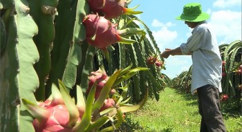 Trung Quốc săn lùng 
