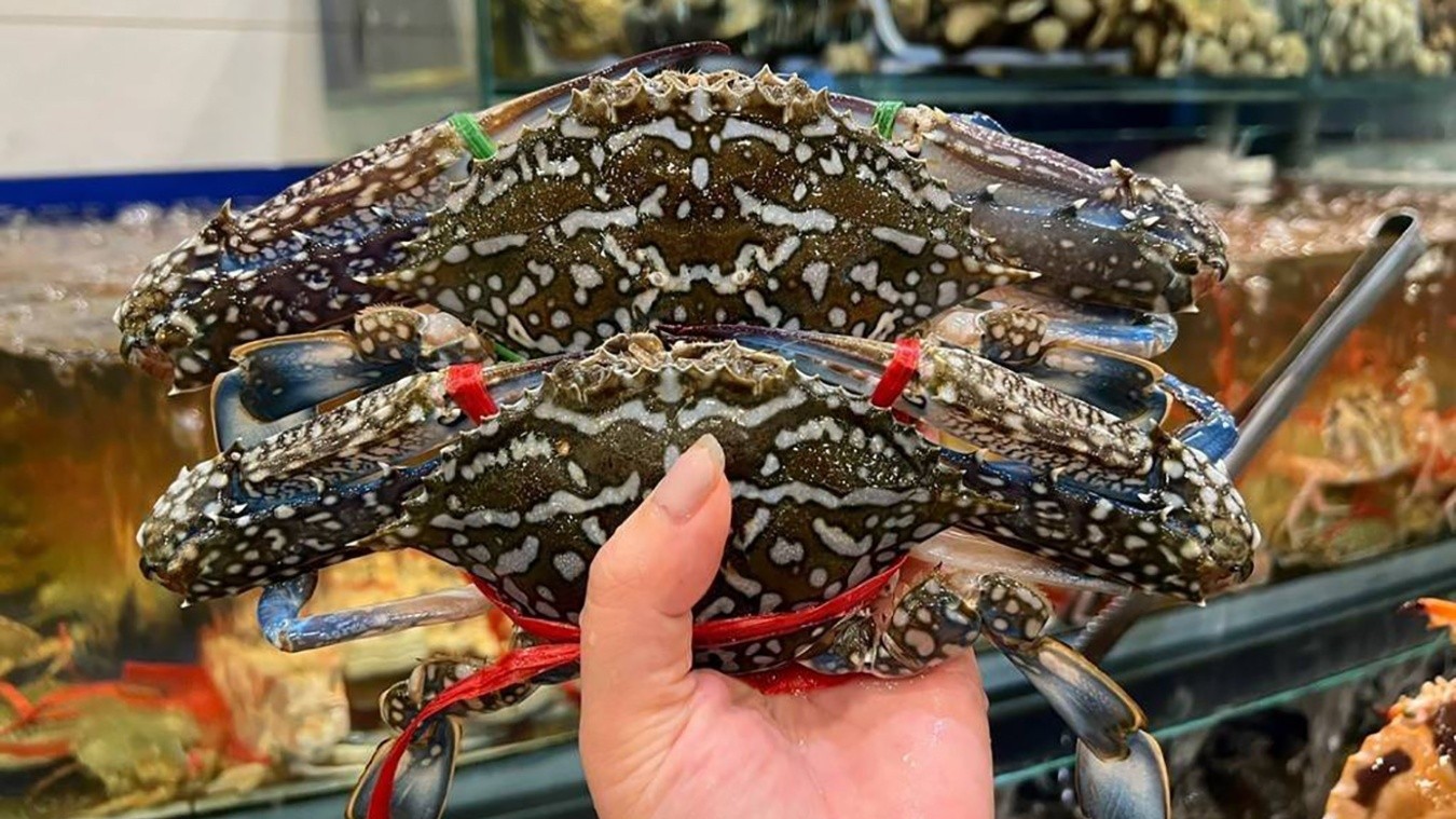 Ghẹ Việt tạm thoát “án cấm” tại Mỹ: Cơ hội mới cho ngành thủy sản