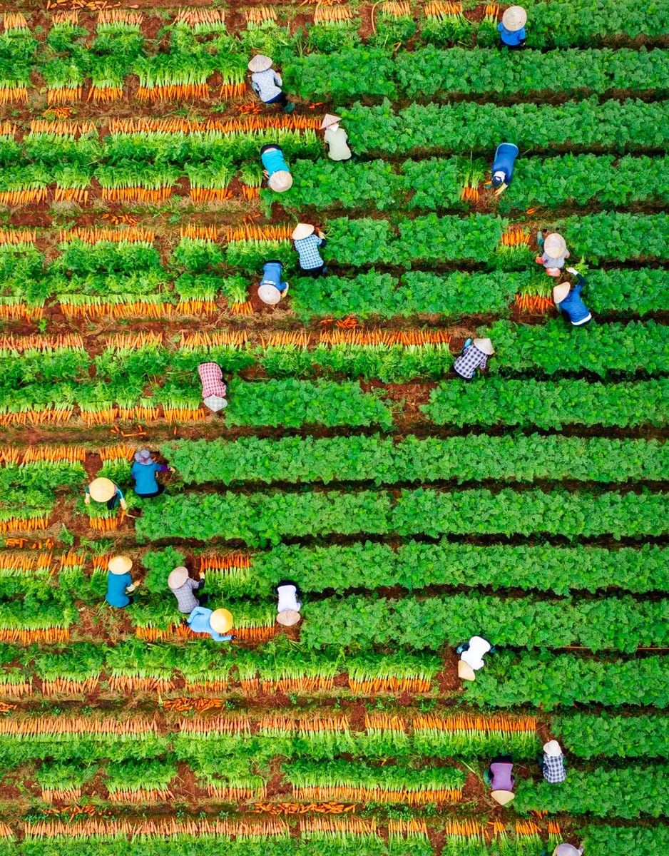 Bắc Ninh hiện thực hóa phát triển bao trùm, bền vững: phấn đấu đến hết năm 2027, toàn tỉnh không còn hộ nghèo