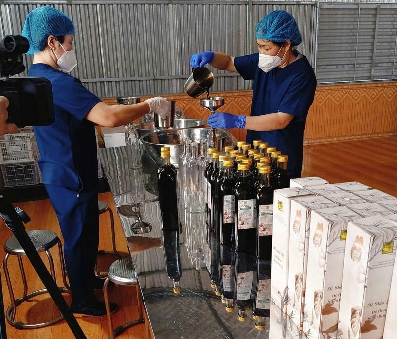 Xì dầu 2S: Đột phá từ đậu đen xanh lòng và rễ ngưu bàng, khẳng định giá trị dược liệu trong thực phẩm Việt Xì dầu 2S: Đột phá từ đậu đen xanh lòng và rễ ngưu bàng, khẳng định giá trị dược liệu trong thực phẩm Việt