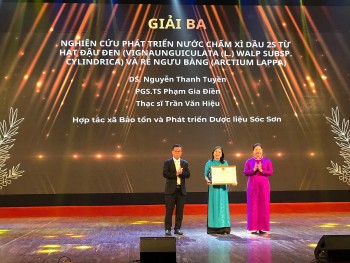 Xì dầu 2S: Đột phá từ đậu đen xanh lòng và rễ ngưu bàng, khẳng định giá trị dược liệu trong thực phẩm Việt