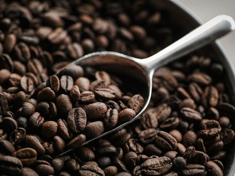 Xuất khẩu cà phê phá kỷ lục, giá neo cao trong vụ thu hoạch mới Xuất khẩu cà phê phá kỷ lục, giá neo cao trong vụ thu hoạch mới