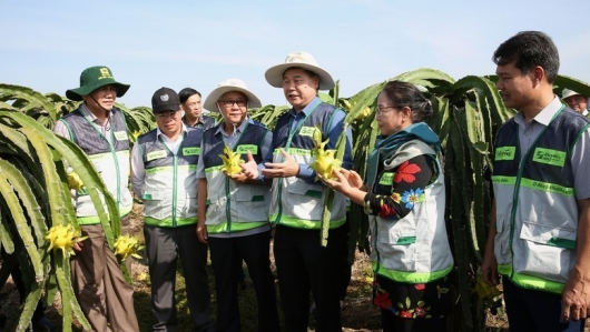 Đổi mới toàn diện hoạt động khuyến nông, lấy nông dân làm trung tâm