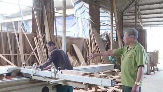 Gieo sức sống mới cho kinh tế nông thôn từ những mô hình sản xuất hiệu quả