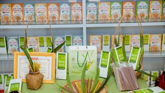 Từ rau củ thành ống hút ECOS: Bước tiến mới của nông nghiệp xanh