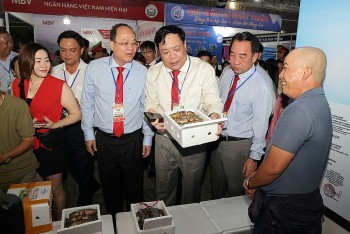 Ngày hội Cua Cà Mau: Khát vọng nâng tầm thương hiệu quốc gia