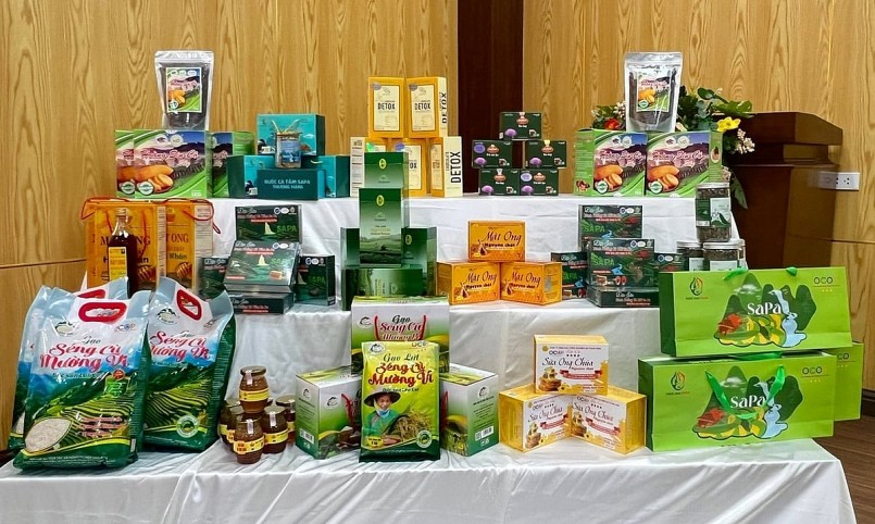 Ảnh: Kim Thoa. Ảnh: Kim Thoa.