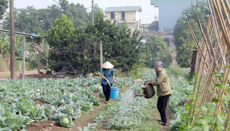 Nghị định 98 sửa đổi: "Xanh hóa" và "số hóa" chuỗi giá trị là điều kiện để nông sản hội nhập Nghị định 98 sửa đổi: "Xanh hóa" và "số hóa" chuỗi giá trị là điều kiện để nông sản hội nhập