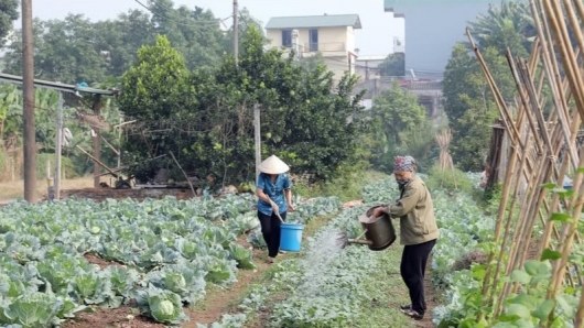 Nghị định 98 sửa đổi: "Xanh hóa" và "số hóa" chuỗi giá trị là điều kiện để nông sản hội nhập