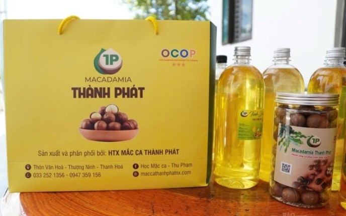 Từ sườn đồi xanh đến kinh tế mới: Câu chuyện hạt mắc ca Thượng Ninh Từ sườn đồi xanh đến kinh tế mới: Câu chuyện hạt mắc ca Thượng Ninh