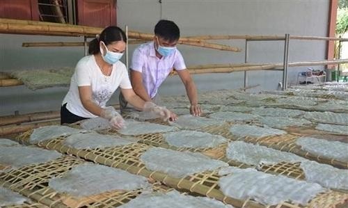 Thanh Hóa: Đặc sản miến dong Hương Ngọc