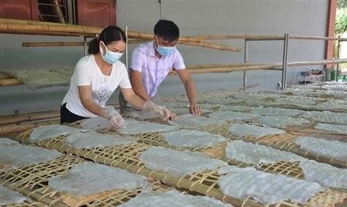 Thanh Hóa: Đặc sản miến dong Hương Ngọc