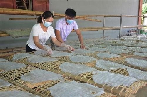 Thanh Hóa: Đặc sản miến dong Hương Ngọc