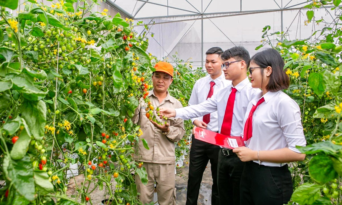 Bắc Ninh: Vốn, tri thức và công nghệ – “chìa khóa” giúp sinh kế hộ nghèo bền vững Bắc Ninh: Vốn, tri thức và công nghệ – “chìa khóa” giúp sinh kế hộ nghèo bền vững