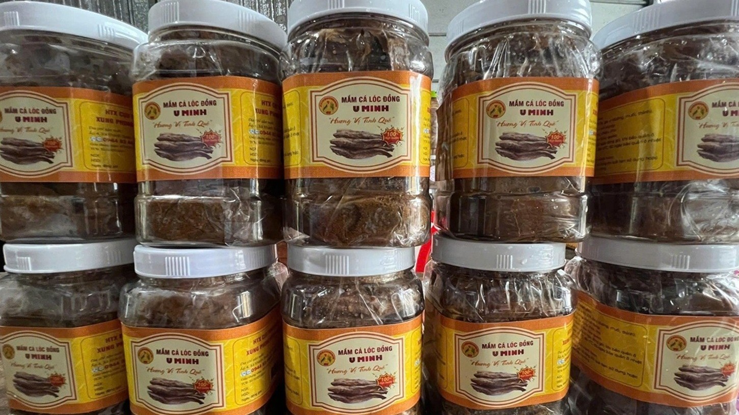 Bí mật đưa cá U Minh từ ao làng tới OCOP: Hành trình của hương vị thượng hạng