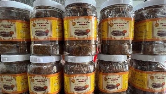 Bí mật đưa cá U Minh từ ao làng tới OCOP: Hành trình của hương vị thượng hạng