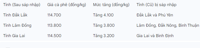 Giá cà phê hôm nay 19/11: Tăng phi mã, nông dân lo lắng vì mưa lớn gây thiệt hại nặng