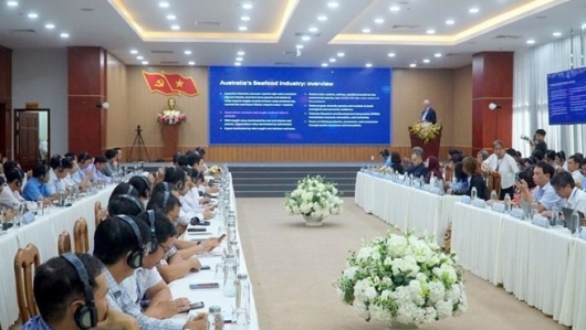 Định hướng 5 trụ cột phát triển ngành cua Cà Mau đạt giá trị nghìn tỷ