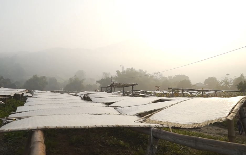 Từ bếp lửa bản làng đến thương hiệu OCOP: Khi sản vật vùng cao kể chuyện Từ bếp lửa bản làng đến thương hiệu OCOP: Khi sản vật vùng cao kể chuyện