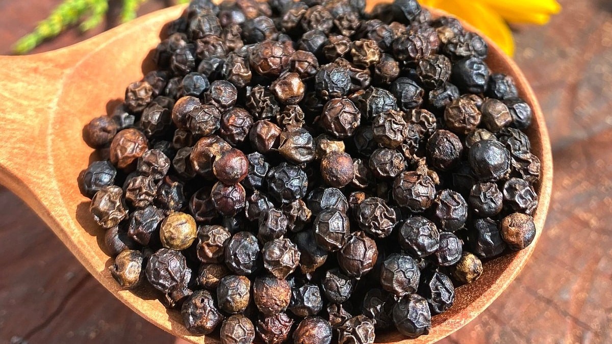 Giá tiêu hôm nay 20/11: Ổn định ở mức cao, kỳ vọng lớn vào nhu cầu xuất khẩu