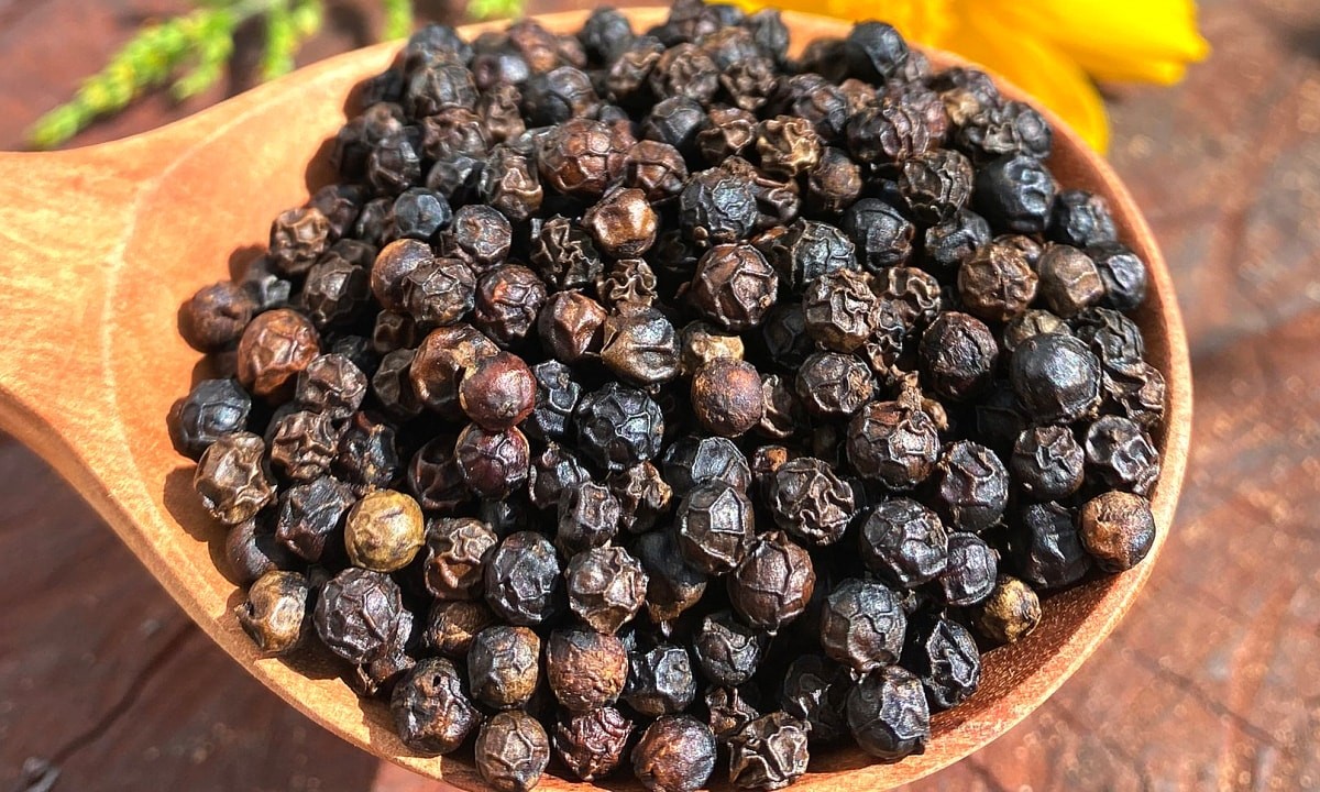 Giá tiêu hôm nay 20/11: Ổn định ở mức cao, kỳ vọng lớn vào nhu cầu xuất khẩu