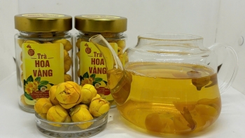 Hành trình tìm lại màu xanh cho "nữ hoàng" các loại trà