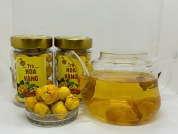 Hành trình tìm lại màu xanh cho 