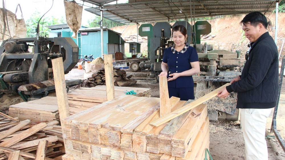 Điểm sáng kinh tế Sơn Động: Khi nông dân liên kết sản xuất để vươn xa