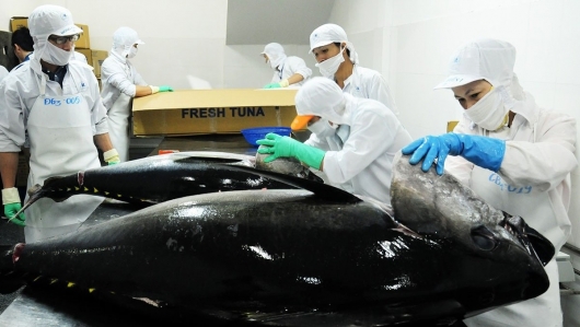 Chuyên gia nhận định gì về xuất khẩu cá ngừ và tôm cuối năm?