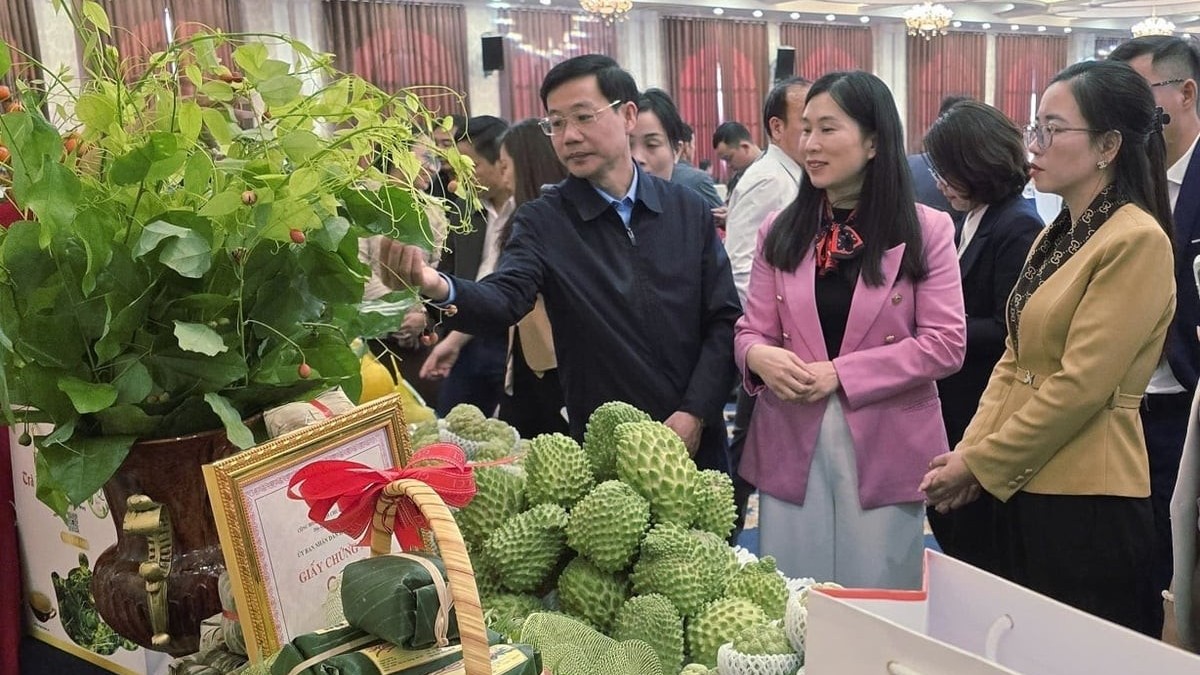Đưa nông sản lên “chợ mạng” và sàn quốc tế: Chiến lược kép giúp OCOP Lạng Sơn chinh phục thị trường