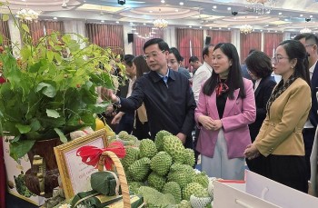 Đưa nông sản lên “chợ mạng” và sàn quốc tế: Chiến lược kép giúp OCOP Lạng Sơn chinh phục thị trường