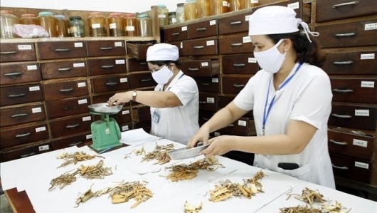 Việt - Trung đẩy mạnh hợp tác: Ứng dụng Y học cổ truyền điều trị các bệnh nan y